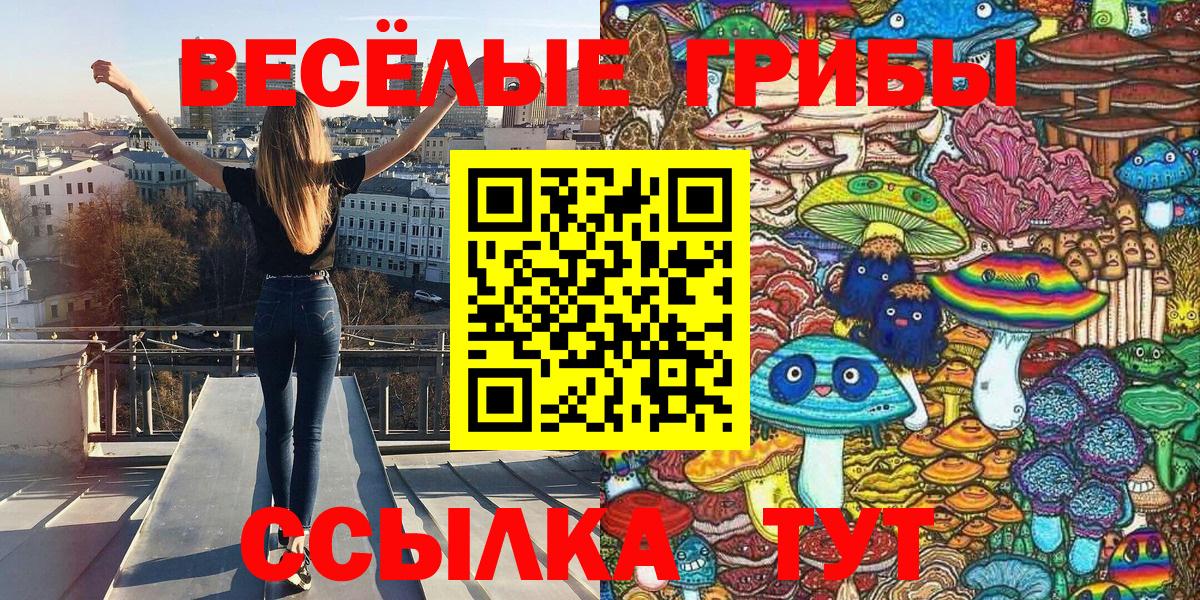 Слободской  Псилоцибиновые грибы мицелий  Вход с VPN  Псилоцибиновые грибы Psilocybine cubensis 